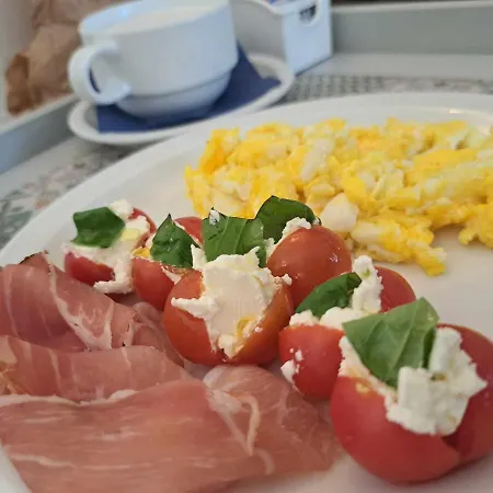 Mimosa Alojamento de Acomodação e Pequeno-almoço