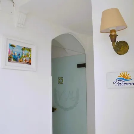 Mimosa Anacapri (Isola di Capri)
