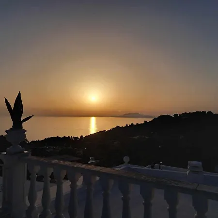 Mimosa * Anacapri (Isola di Capri)