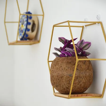 Mimosa Bed & Breakfast