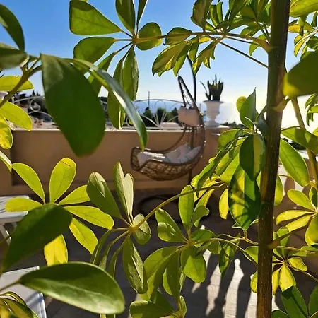 Bed & Breakfast Mimosa